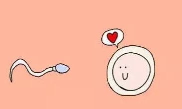 2026年河南洛阳三大助孕公司有哪家？附前3助孕机构名单