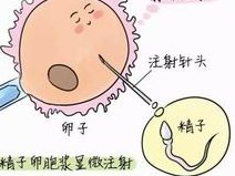 去泰国杰特宁做试管成功率高吗？这个医院靠谱吗？