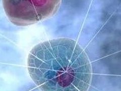 郑州陇海医院试管婴儿的成功率是50%吗？